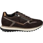 Baskets basses Gabor Sneaker