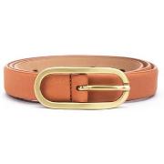 Ceinture Pikolinos COMPLEMENTOS