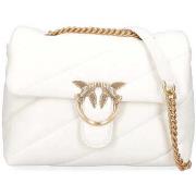 Sac Bandouliere Pinko -