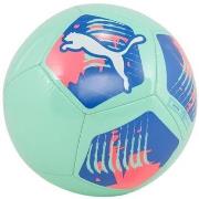 Ballons de sport Puma big cat ball