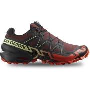 Baskets Salomon Speedcross 6