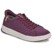 Baskets basses Saola CANNON KNIT 2.0 WOOL