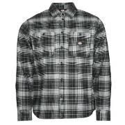 Chemise Dickies EVANSVILLE LS