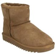 Bottines Ara alaska booties