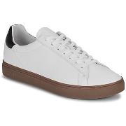 Baskets basses Clae BRADLEY