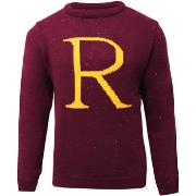 Sweat-shirt Harry Potter NS6614