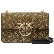 Sac Bandouliere Pinko -