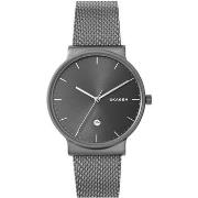 Montre Skagen Montre en titane