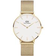 Montre Daniel Wellington OROLOGI