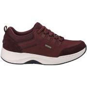 Derbies Josef Seibel BLUCHER IMPERMEBLE ELI-50 NUBUCK BORDEAUX