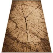 Tapis Rugsx Tapis SILVER TRONKO Arbre Bois noix 200x300 cm