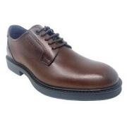 Chaussures Baerchi Chaussure homme 1160 marron