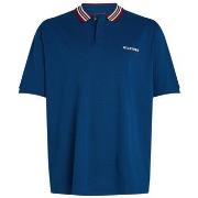 Polo Tommy Hilfiger 167781VTAH24