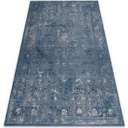 Tapis Rugsx Tapis NAIN Ornement, cadre, vintage 7599/51611 ble 200x300...