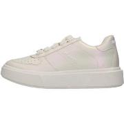 Baskets montantes Steve Madden SMPHOOPSTER