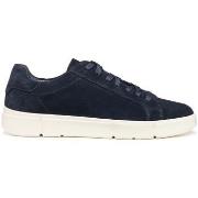 Baskets Geox U Prali sneaker in camoscio