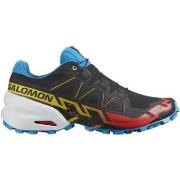 Chaussures Salomon -