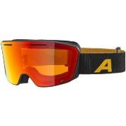 Accessoire sport Alpina -