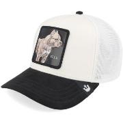 Casquette Goorin -