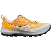 Chaussures Saucony Peregrine 14