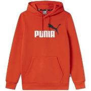 Polaire Puma Ess+ 2 Col Big Logo Hoodie Fl