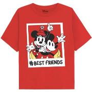 T-shirt enfant Disney Bestfriends