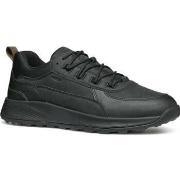 Baskets basses Geox terrestre leisure trainers