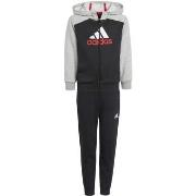 Ensembles de survêtement adidas Essentials Big Logo Fleece