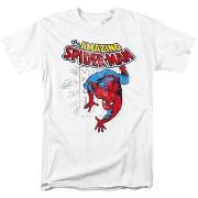 T-shirt Marvel Wall Crawler