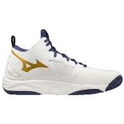 Chaussures Mizuno Indoor Wave Momentum 3