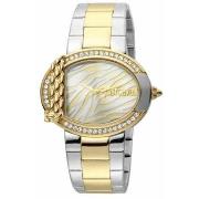 Montre Roberto Cavalli Montre Femme JC1L111M0115