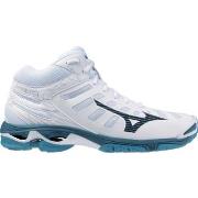 Chaussures Mizuno Wave Voltage