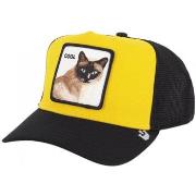 Casquette Goorin Bros Cool cat