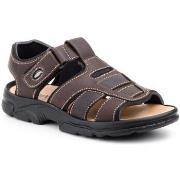 Sandales Morxiva Shoes -