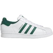 Baskets adidas Superstar