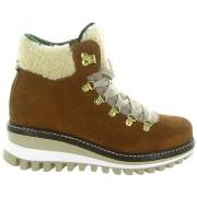 Bottes neige New Italia Shoes 2415464E