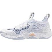 Chaussures Mizuno Wave Momentum 3