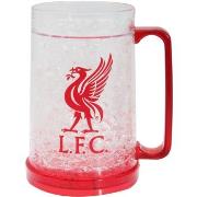 Accessoire sport Liverpool Fc SG126