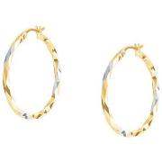 Boucles oreilles Cleor Boucles d'oreilles en or 375/1000