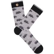 Chaussettes Cabaia CAB943XAAG BAPTISTE ET CELIA