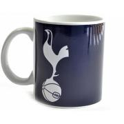 Accessoire sport Tottenham Hotspur Fc BS1385