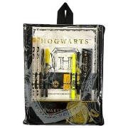 Accessoire sport Harry Potter Bumper