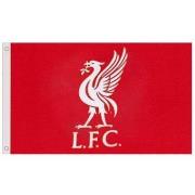 Accessoire sport Liverpool Fc Core