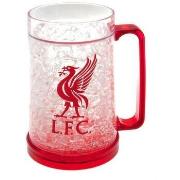 Accessoire sport Liverpool Fc TA2130