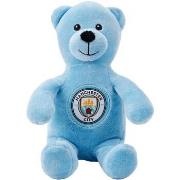 Accessoire sport Manchester City Fc TA11711