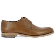 Derbies Hardrige Harry