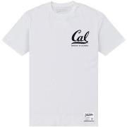 T-shirt Berkeley University Of California