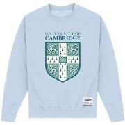 Sweat-shirt Cambridge University PN513