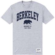 T-shirt Berkeley PN473