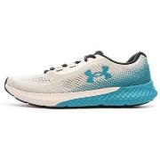 Chaussures Under Armour 3026998-102